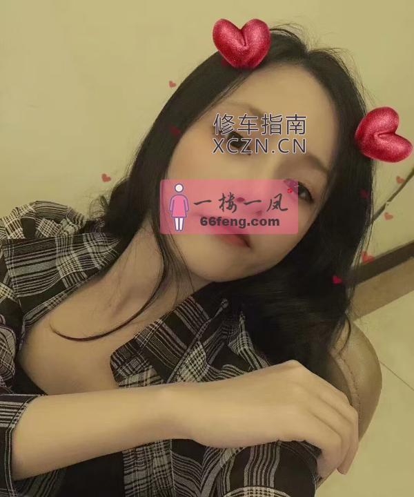 高明区稀疏红玫瑰