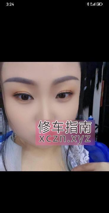 [天津-西青区]西青东北猫咪