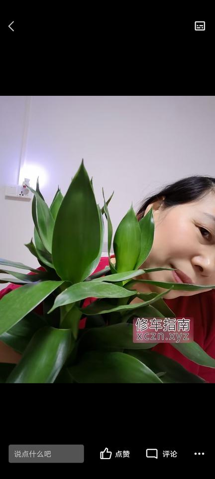 [广东-东莞]高埗