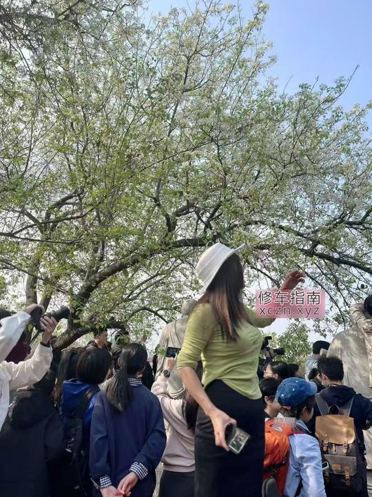 [福建-厦门]集美泄火熟妇