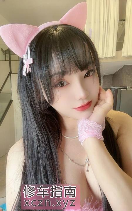[上海-普陀区]普陀小野猫