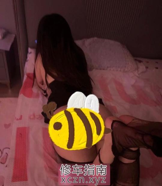 [湖北-武汉]电动肥臀小马达
