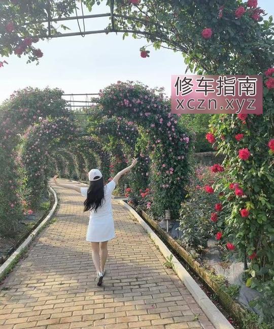 [浙江-杭州]风一般的恋人