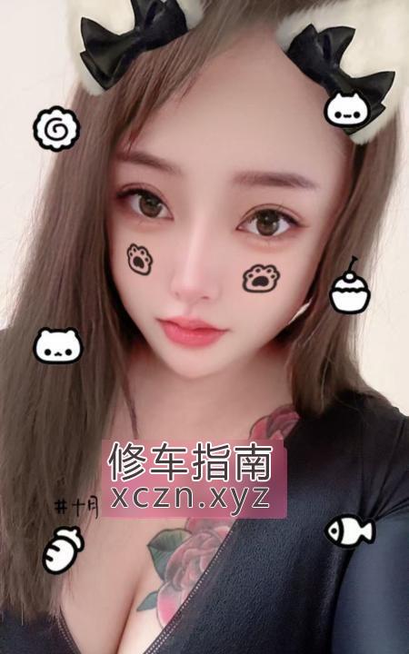 [天津-河西区]河西区小坦克