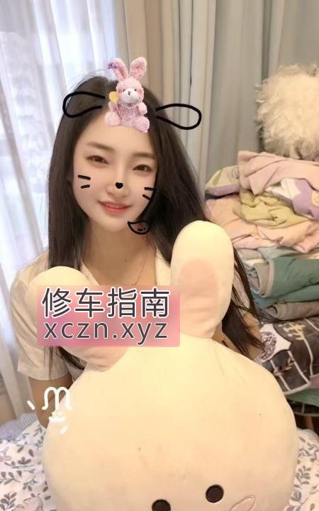 [安徽-合肥]蜀山个人小野猫