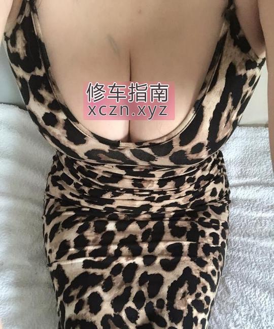 [江苏-南京]二刷秦淮大奶牛