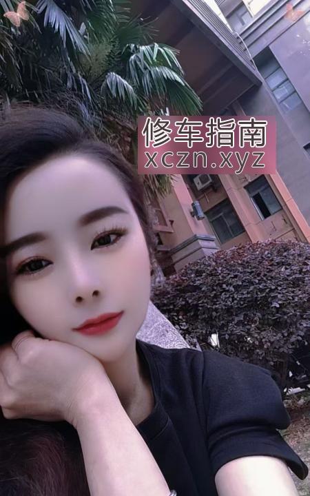 [安徽-合肥]包河小夜猫