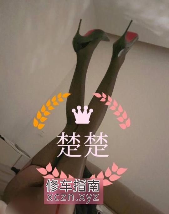 [河北-石家庄]大奶骚货楚楚