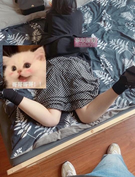 [河南-郑州]暴力驾驶大屁股