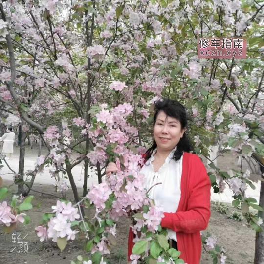 打卡沈阳泄火大姨