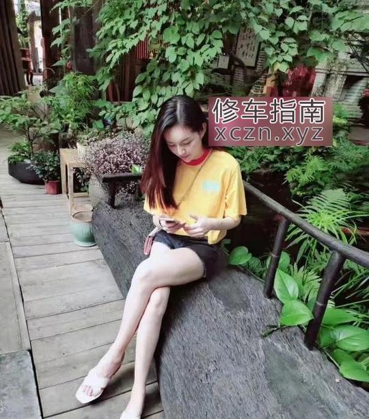 [广东-深圳]南山素锦回归