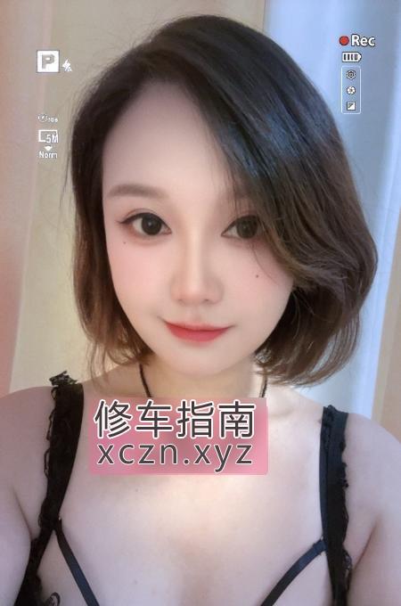 [湖北-武汉]汉阳小野猫