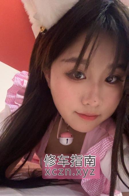 [山西-太原]小店巨臀猫猫