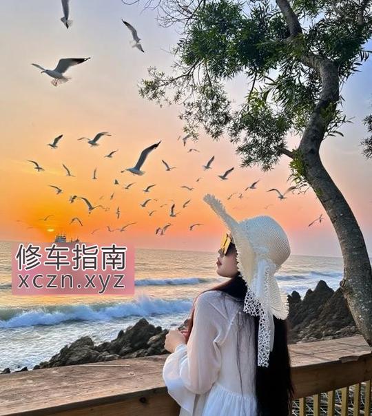 [黑龙江-哈尔滨]南岗欣欣