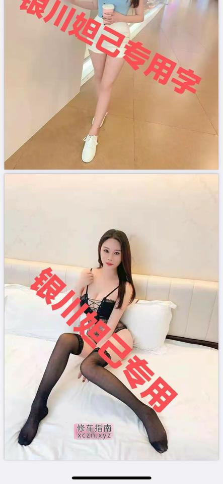 银川金凤妲己小姐