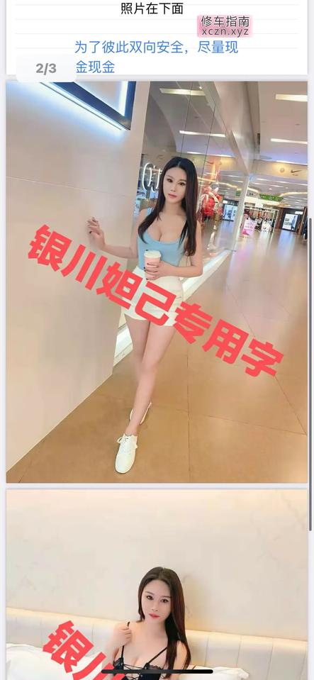 银川金凤妲己小姐