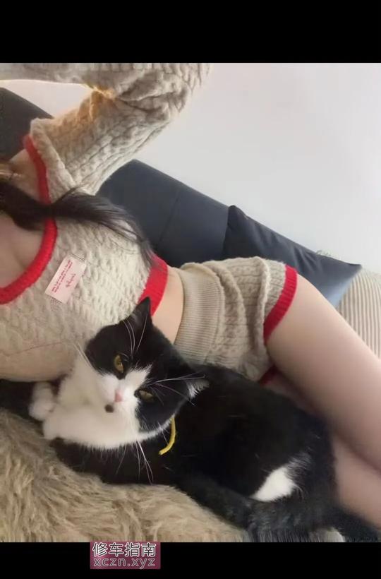 [山西-太原]大胸很棒御姐