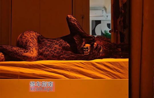 [广东-广东]番禺黑皮