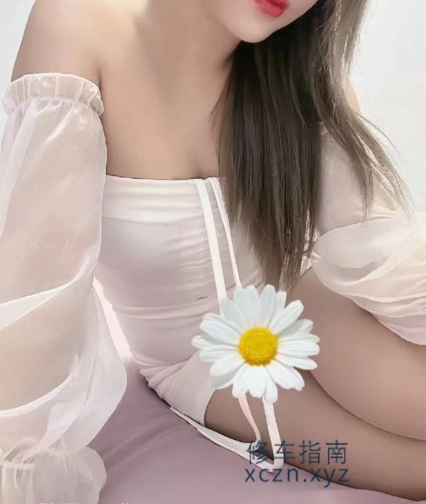 沈阳黄咪兼职