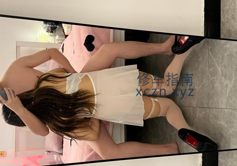[上海-静安]哈宝颜值服务