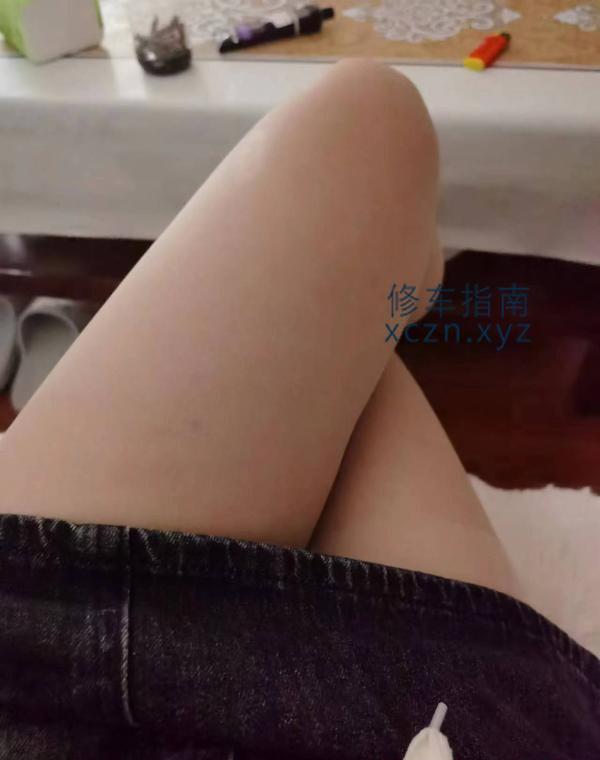 [天津-北辰]北辰小燕子