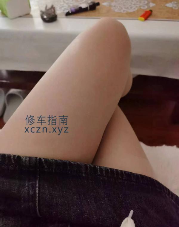 [天津-北辰区]北辰小燕子