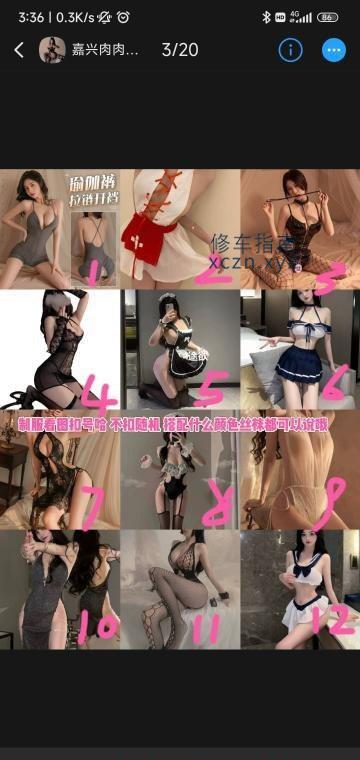 [浙江-嘉兴]嘉兴肉肉服务型