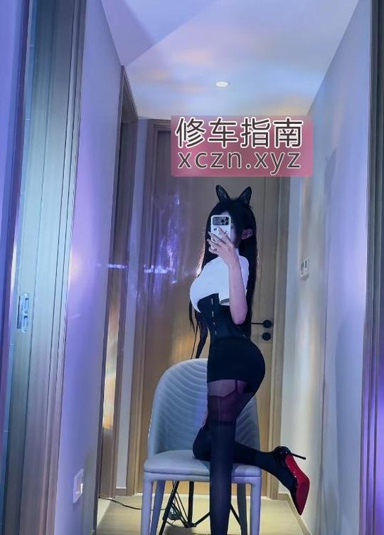 新宠好的体验