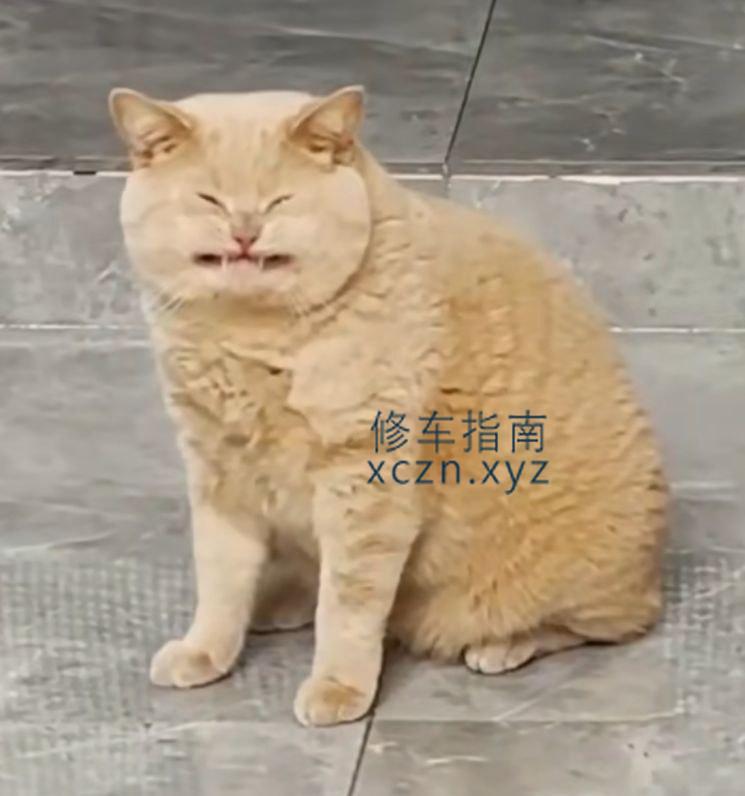 [湖北-咸宁]足天下