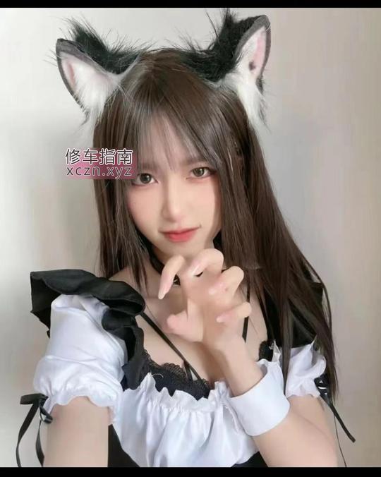 [上海-杨浦区]杨浦小奶猫