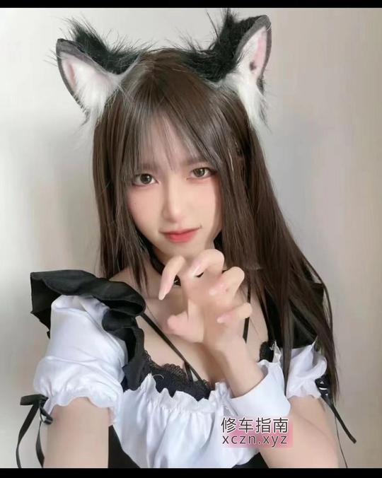 [上海-杨浦区]杨浦小奶猫