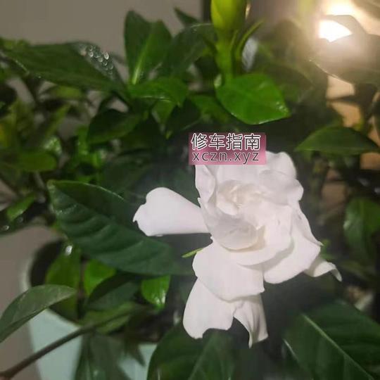 [浙江-嘉兴]市区技术最好的