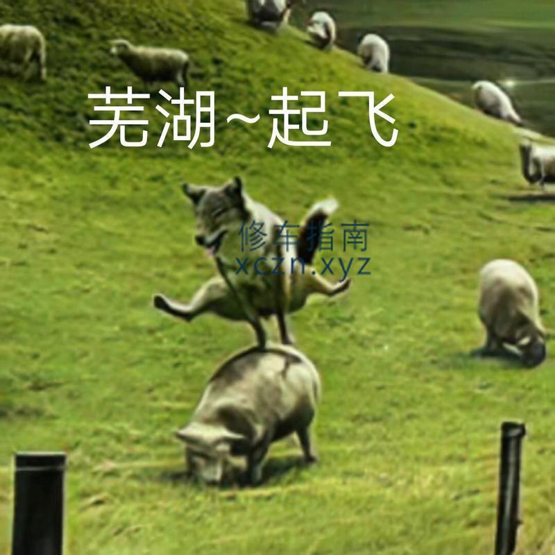 [内蒙古-鄂尔多斯]凤金海岸