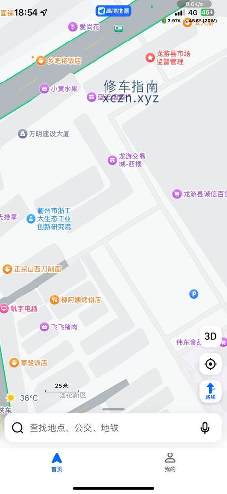 [浙江-衢州]龙游交易城停车场出口  柳阿姨烤饼边上