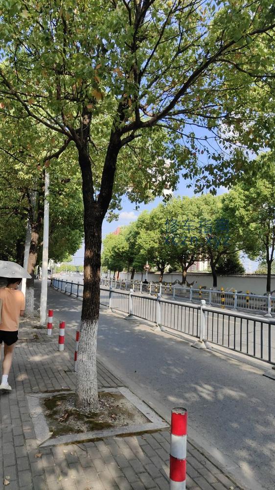 [山东-淄博]汤泉一品