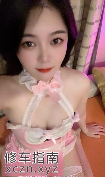 [广东-惠州]惠州市麦地小野猫