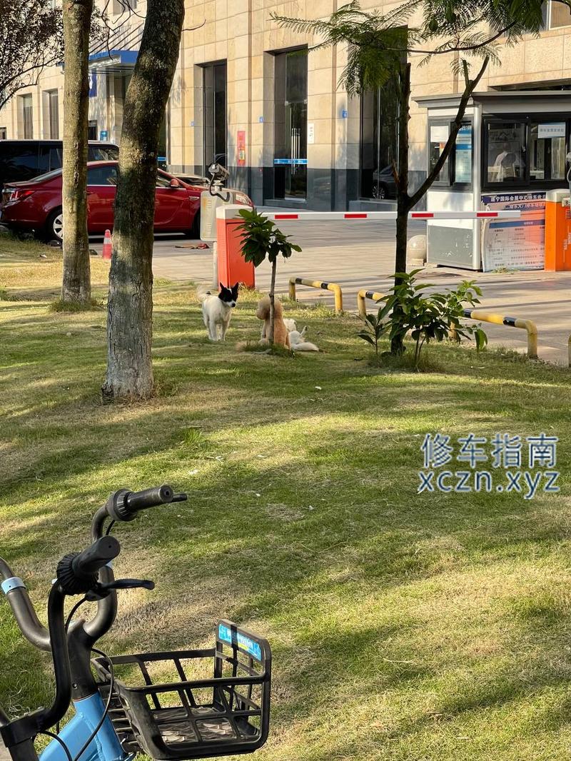 [四川-遂宁]澜悦足浴