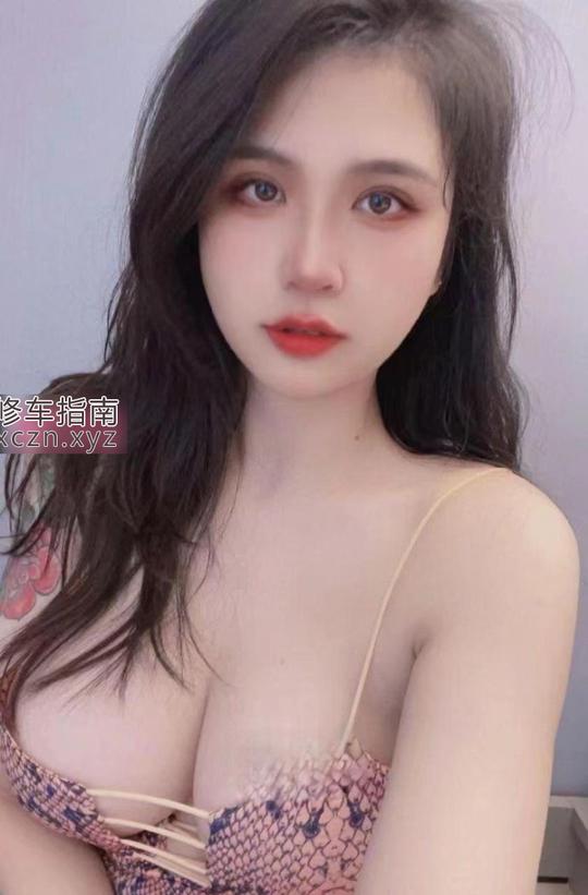 [天津-河西区]河西小困猫