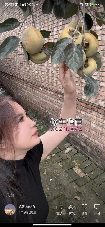 [天津-河西区]河西熟女