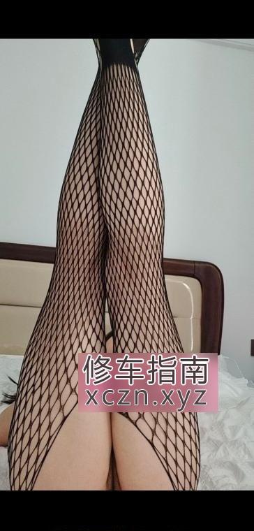 [江苏-南通]南通开发区懒猫