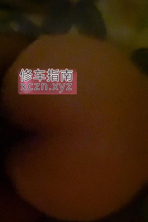 [天津-河北区]河北小肉臀