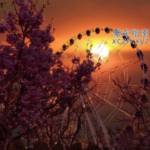 内容图片