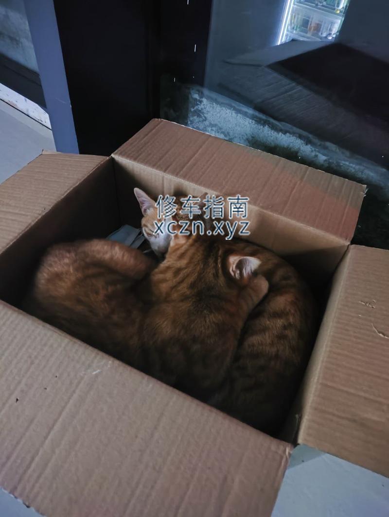 [湖北-武汉]沐足