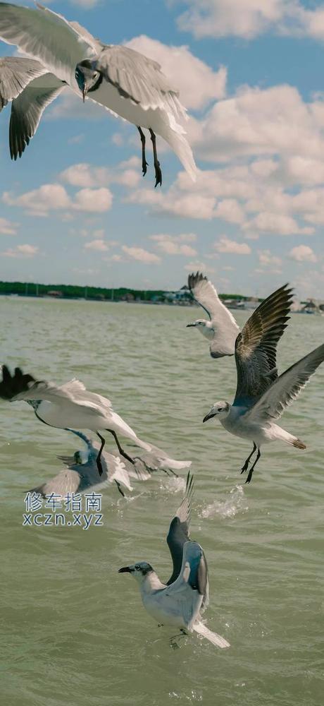 [河南-周口]红红足疗