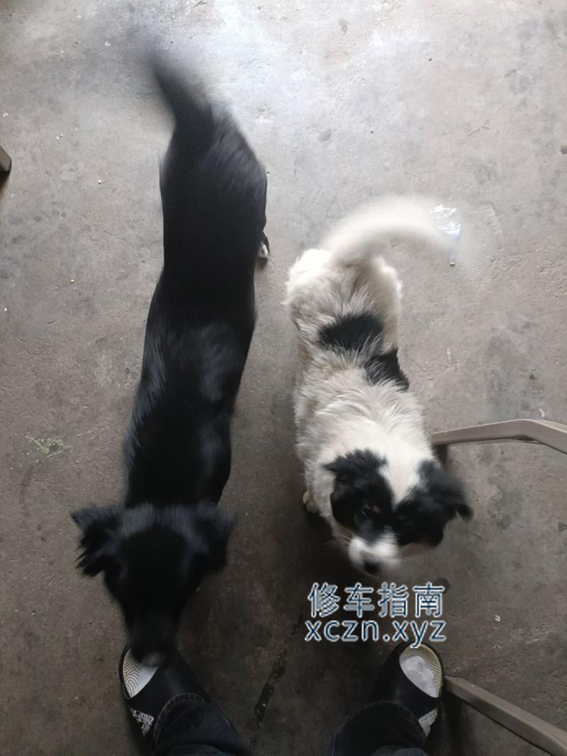 [湖北-孝感]随意嘉联华