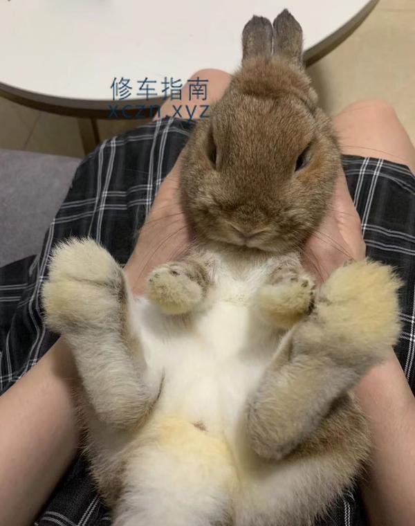 佛山晓晓良家