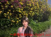 清纯反差学生妹会喷水