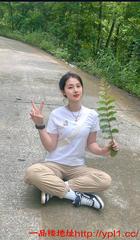 领家小姐姐，一线天肥鲍多汁，床上反差婊一枚