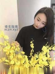 [广东-深圳]南山珊珊会计妹