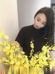 [广东-深圳]南山珊珊会计妹